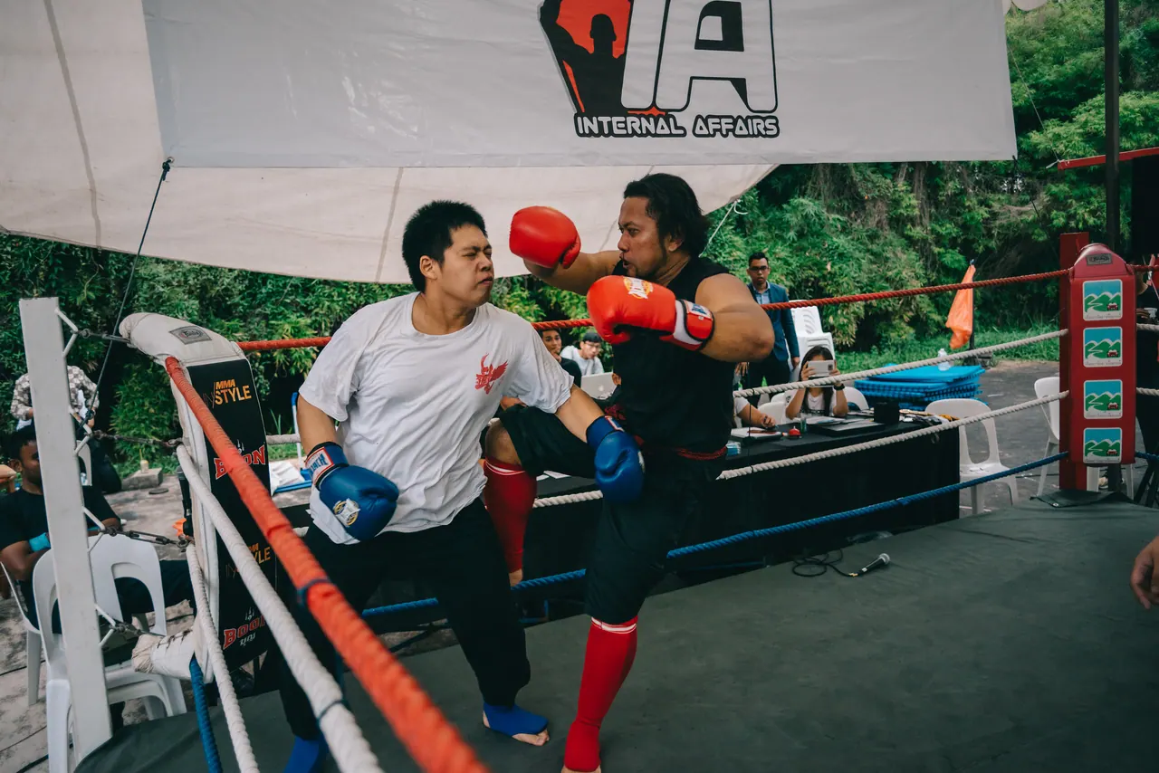 Two fighters spar in the ring under the Internal Affairs banner.