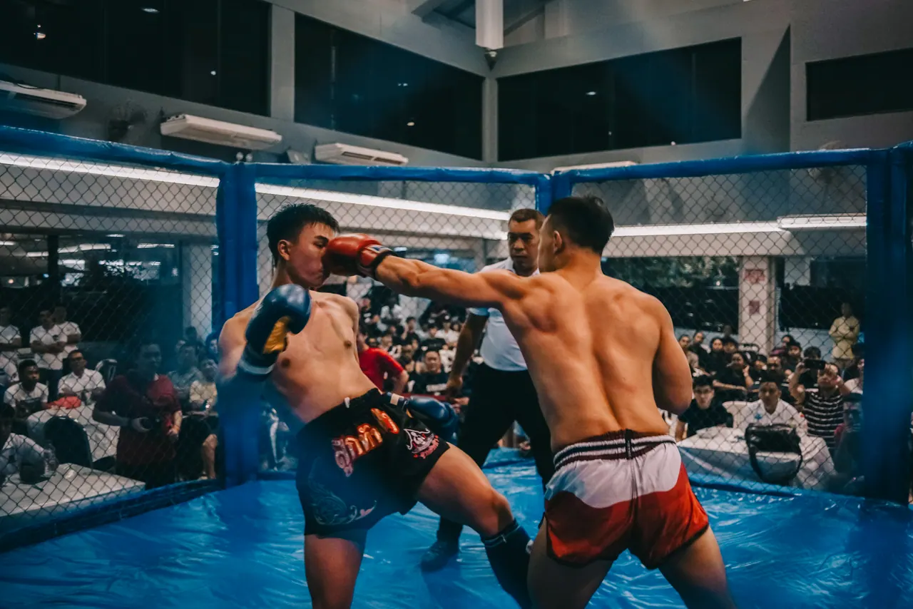 A punch lands in the cage, the crowd behind.